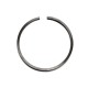 piston ring 3631248